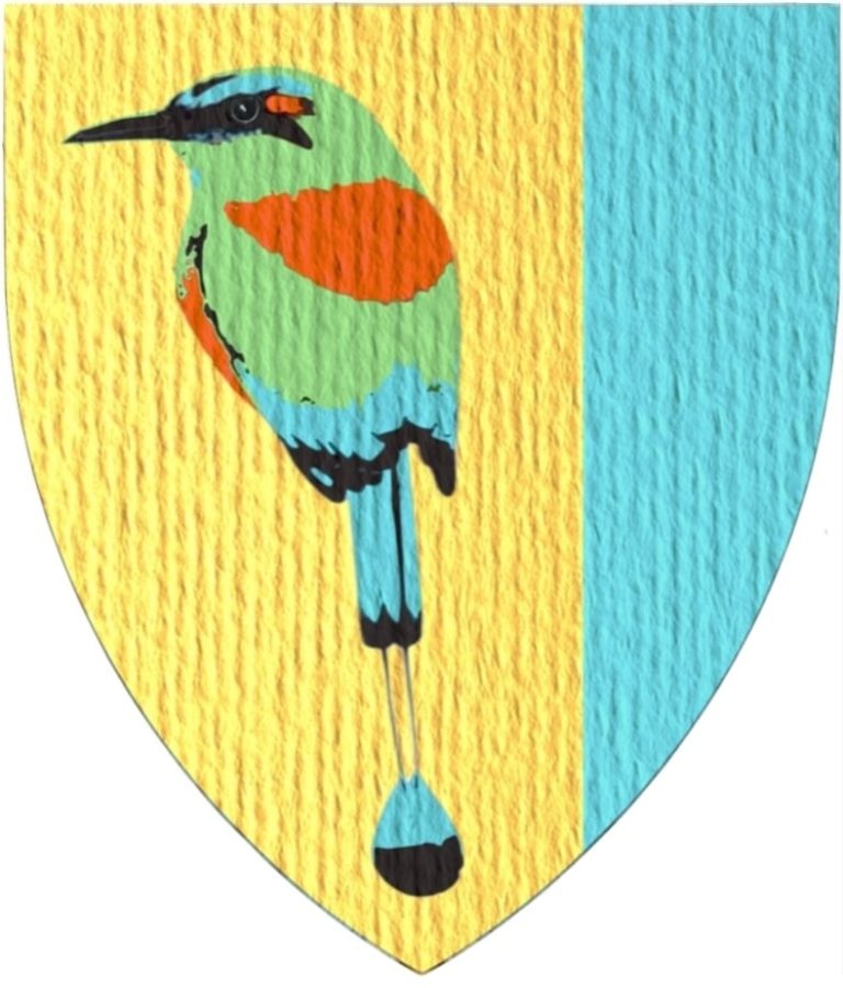 The turquoise browed motmot of Central America as heraldic figure, charge, in the coat of arms of Kevin Linares Contreras. Heraldry torogoz